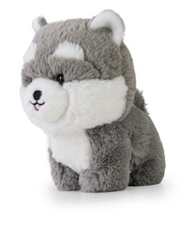 Teddy Pets - Maskotka Husky
