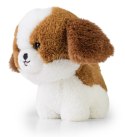 Teddy Pets - Maskotka Shih Tzu
