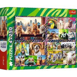 Trefl: Puzzle 4x250el. - Zabawne zwierzaki