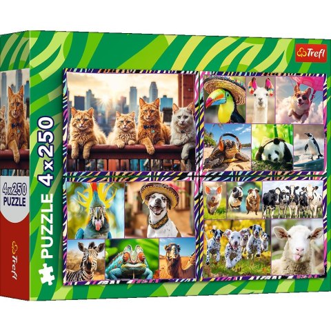 Trefl: Puzzle 4x250el. - Zabawne zwierzaki